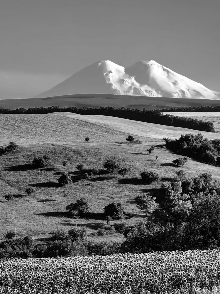 Photograph by Igor M.