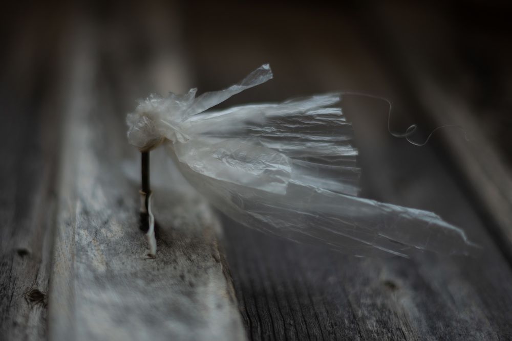 Фотография автора Наталья Почтенная