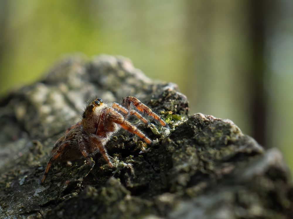 Photograph by Мичурин Андрей