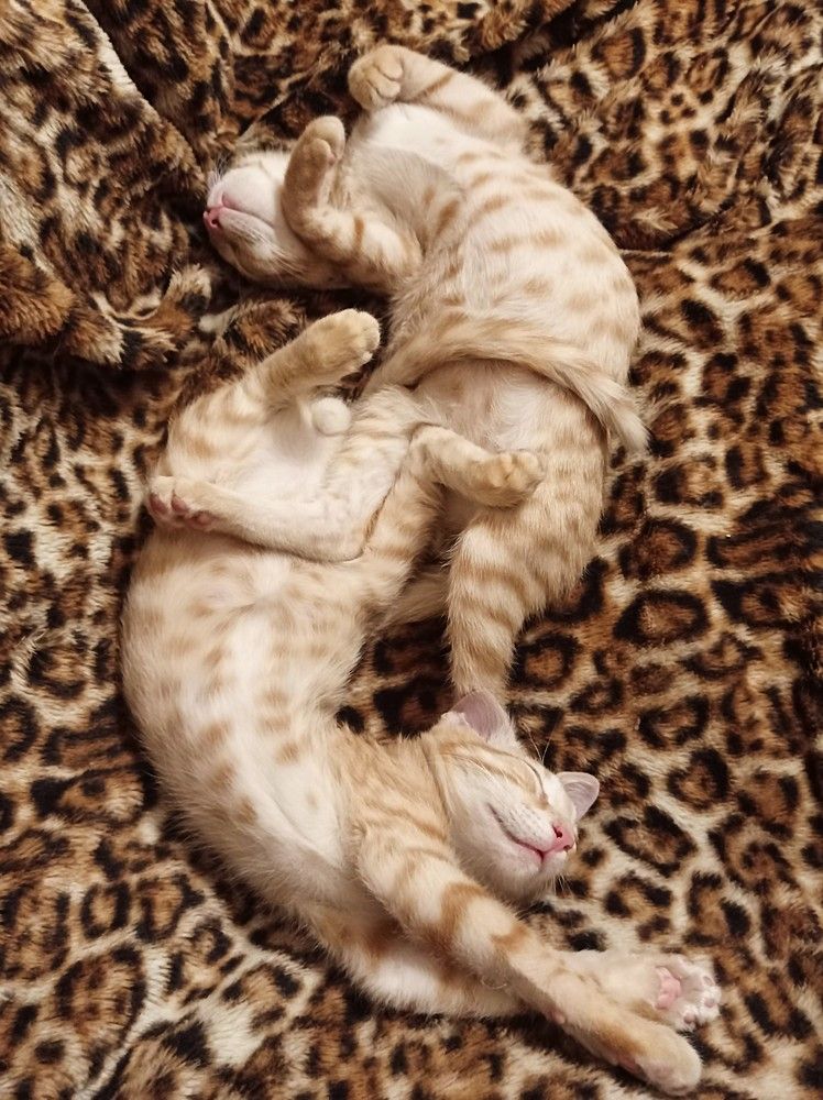 Photograph by Ирина Орлова