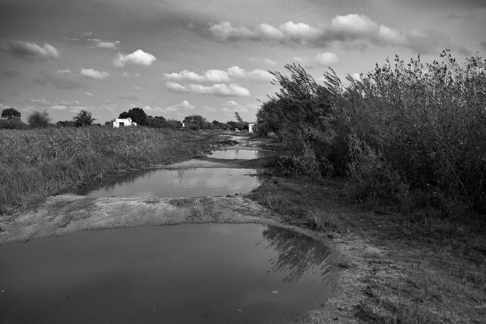 Photograph by Наталья Струц