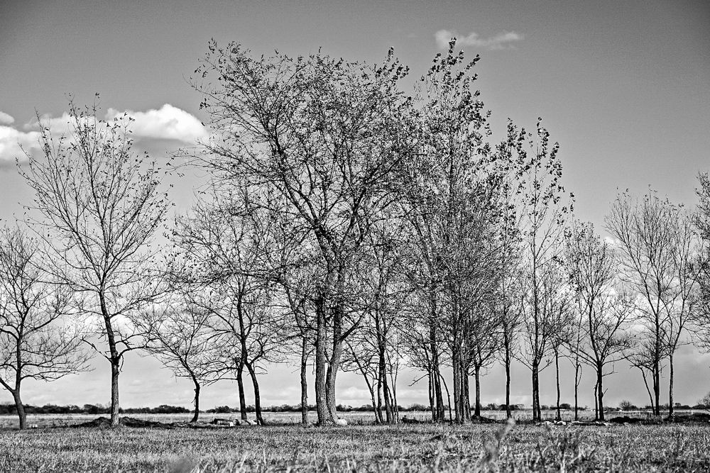 Photograph by Наталья Струц