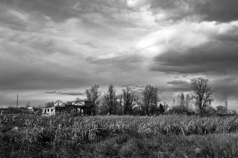 Photograph by Наталья Струц