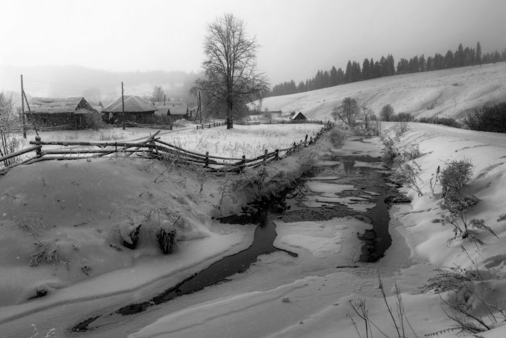 Photograph by Соколова Елена