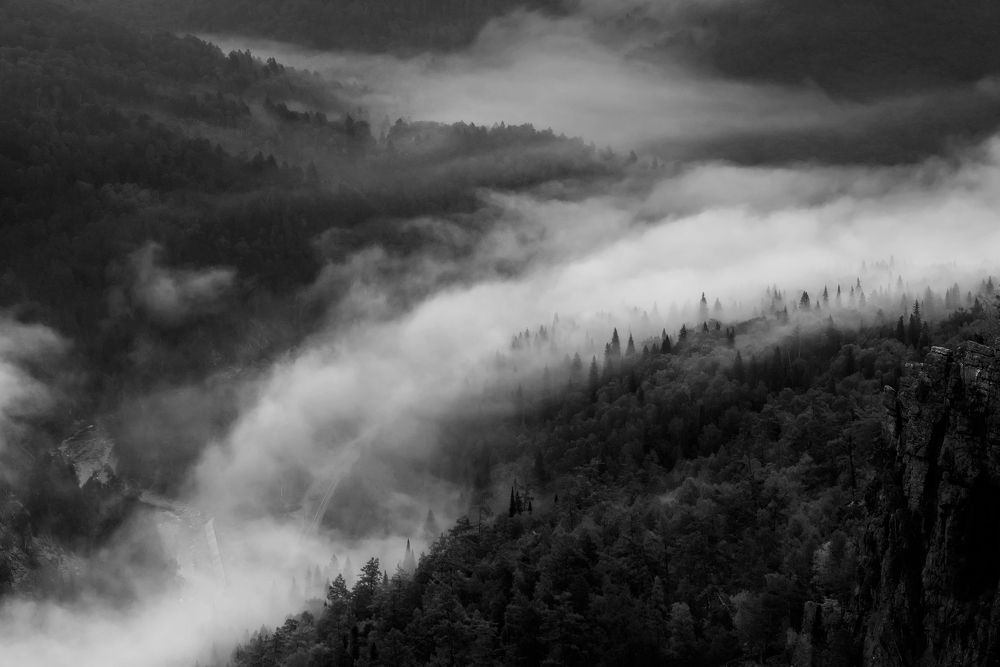 Photograph by Соколова Елена