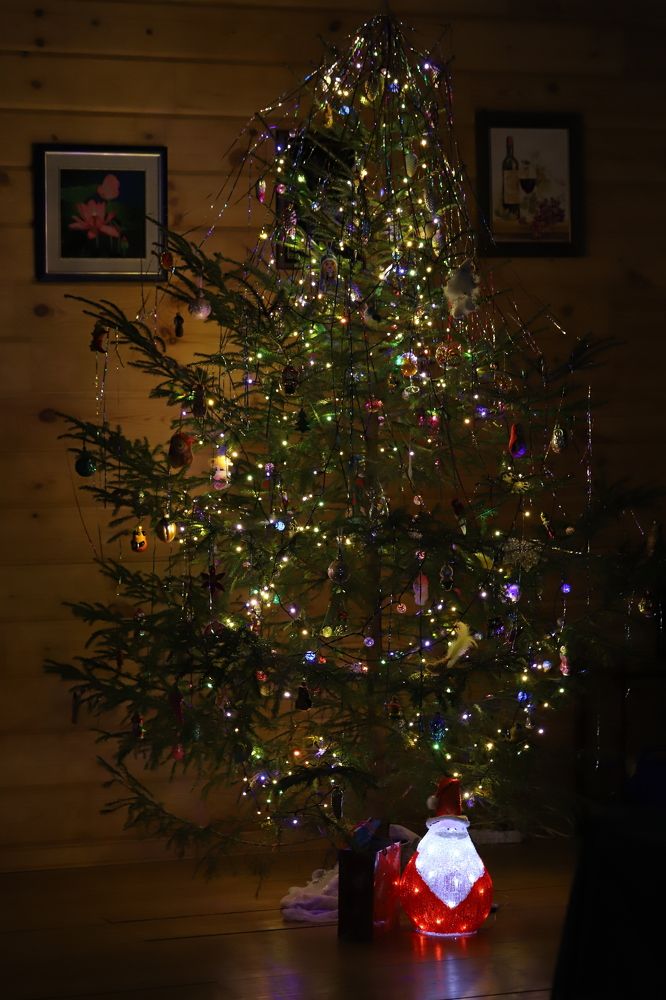 Photograph by Елена Тимченко