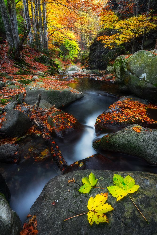 Фотография автора Mariyana Atanasova - Lucero