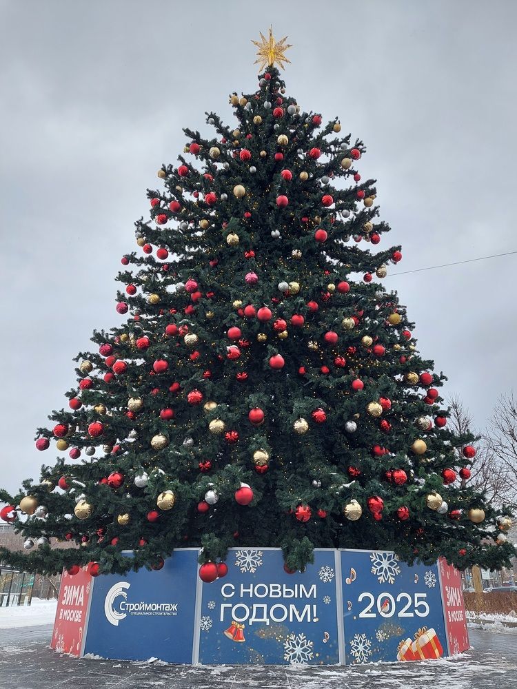 Photograph by Елена Тимченко