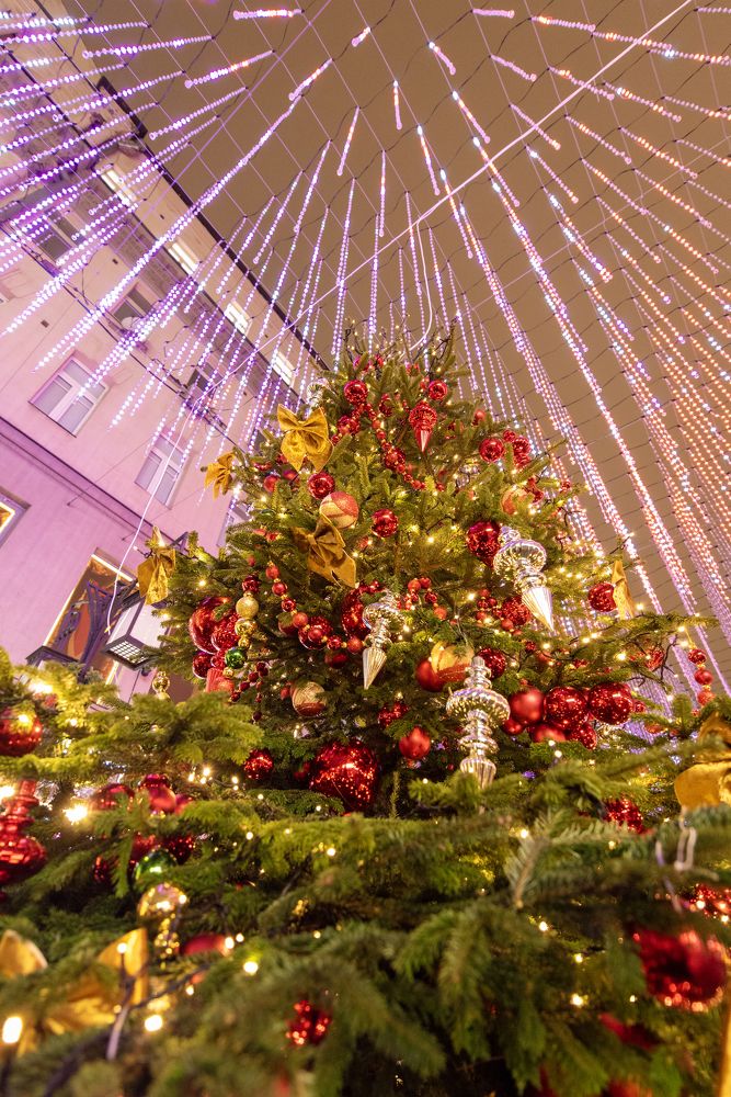 Photograph by Алексей Новиков