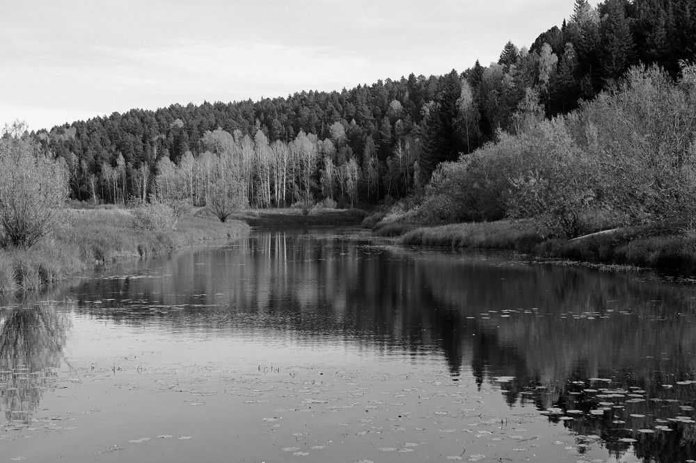 Photograph by Галина Мазур