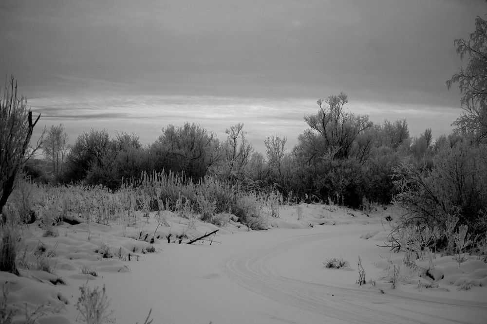 Photograph by Галина Мазур