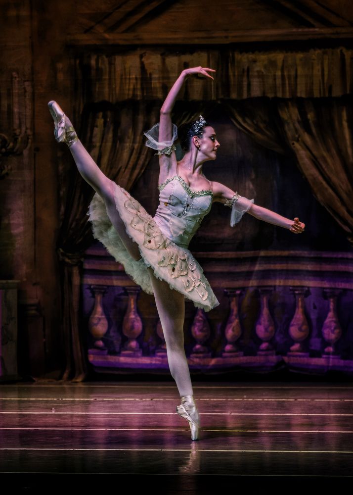 Photograph by Pablo Ezequiel Desima Teseira