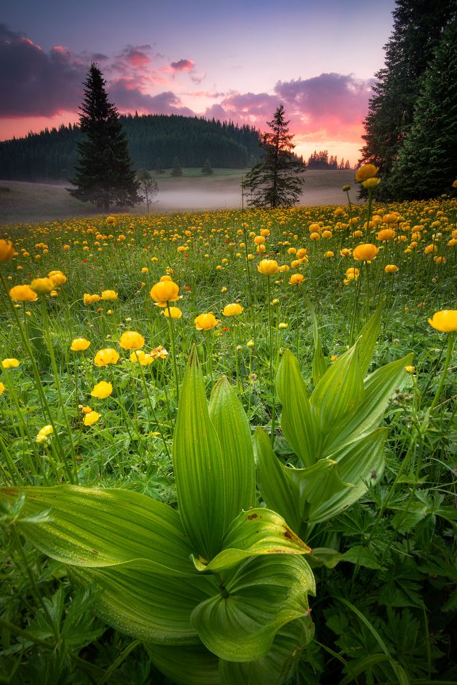 Фотография автора Mariyana Atanasova - Lucero