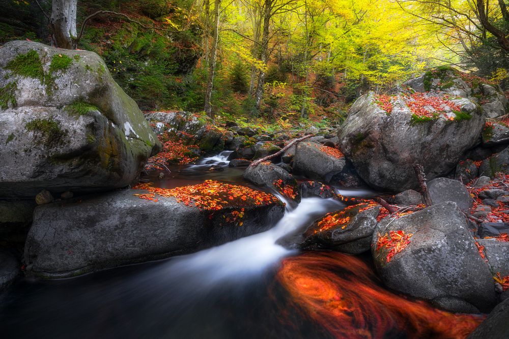 Фотография автора Mariyana Atanasova - Lucero