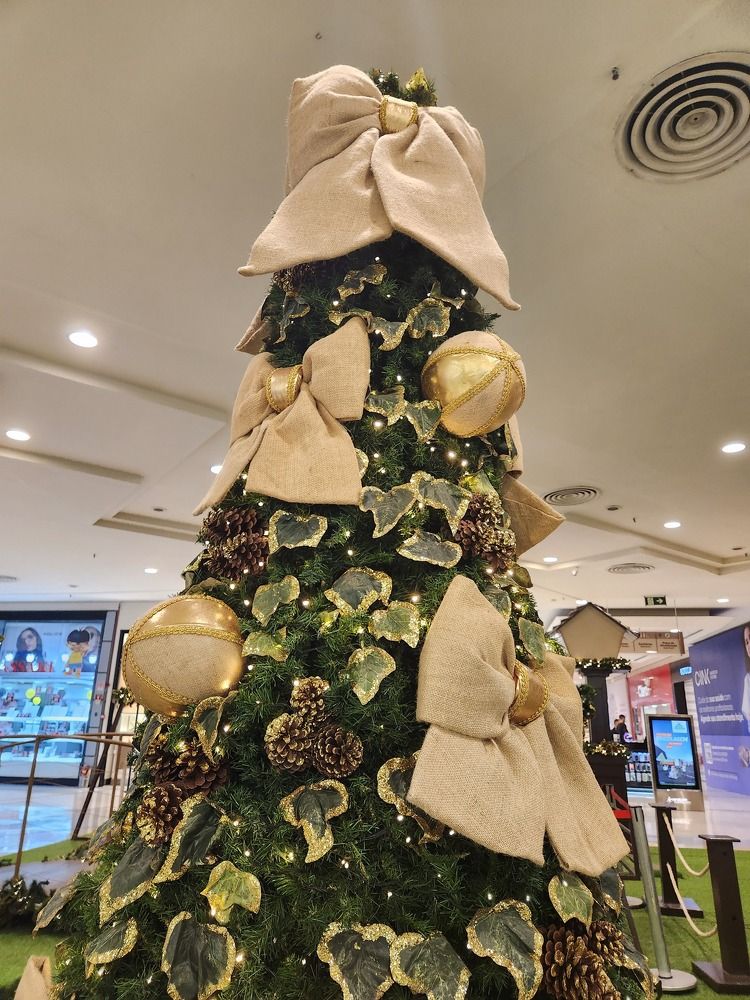 Photograph by Juliana