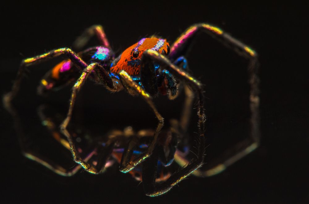 Photograph by Talha Maqsood