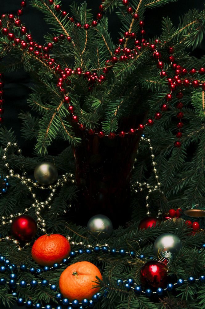 Photograph by Громова Мария