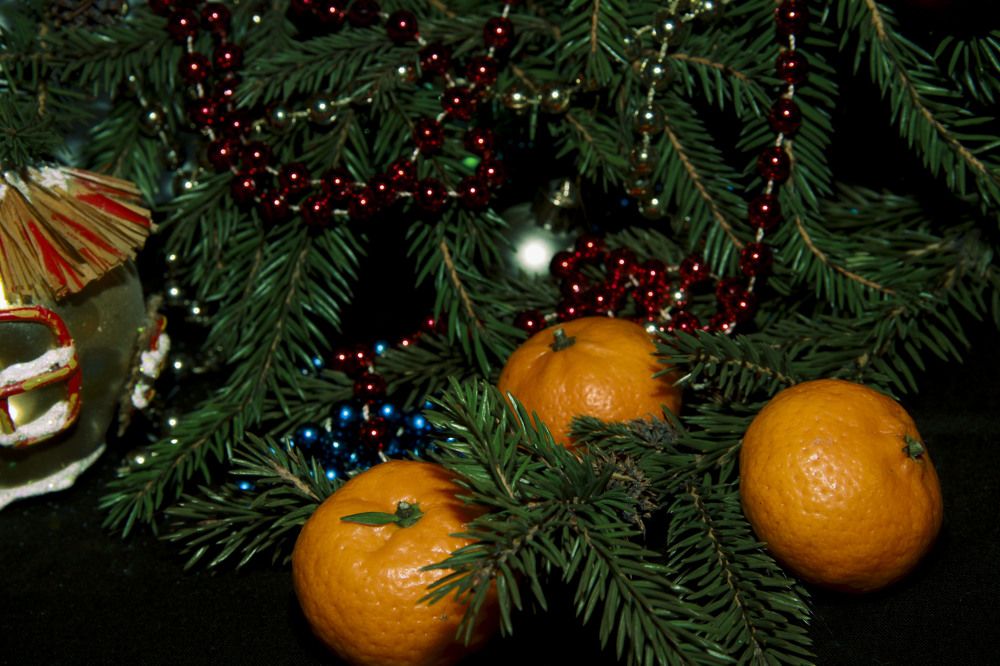 Photograph by Громова Мария