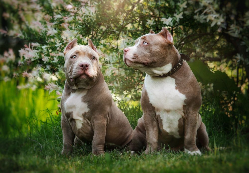 Photograph by Элина Абакумова