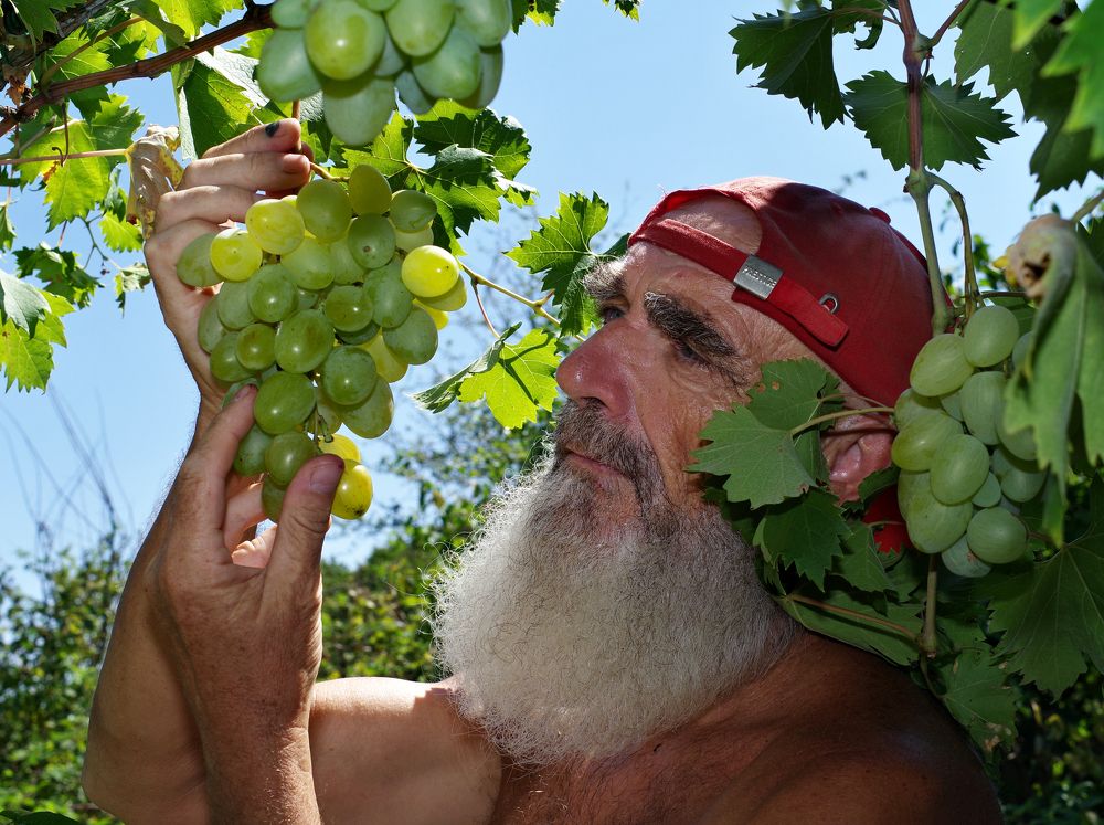 Фотография автора Сергей Гречихин