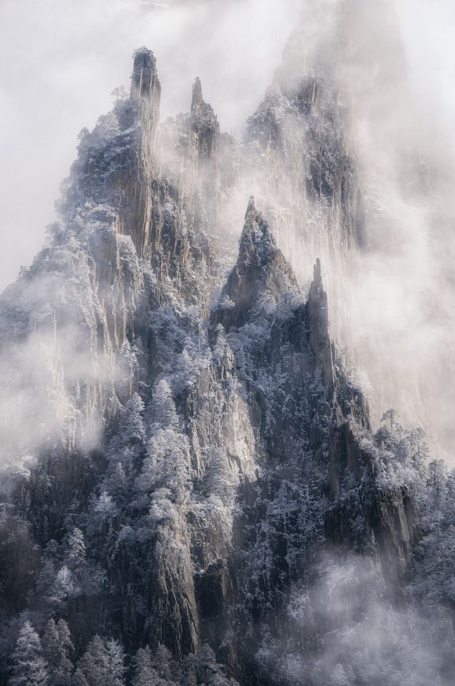 Sea of Clouds and Snowy Mountains