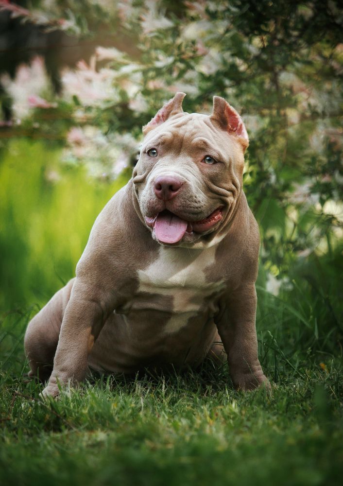 Photograph by Элина Абакумова