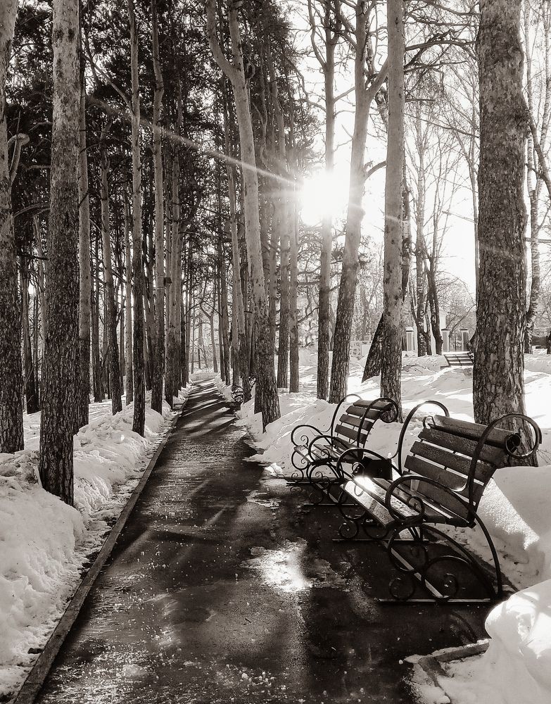 Photograph by Оксана Мельник