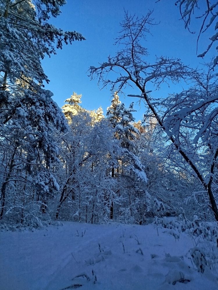 Photograph by Olga Александрова