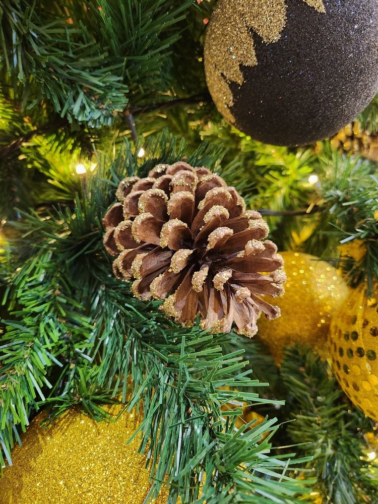 Photograph by Juliana