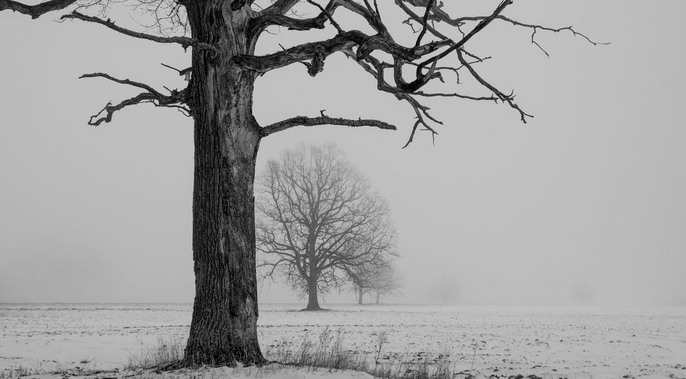 Фотография автора Александр Буренко