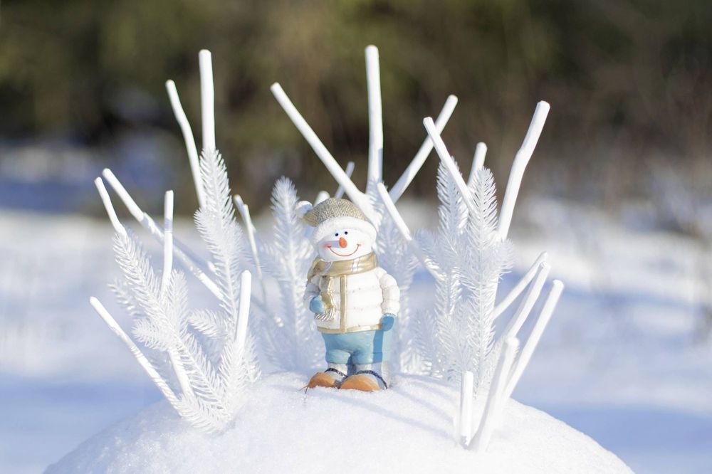 Photograph by Николай Чичерин