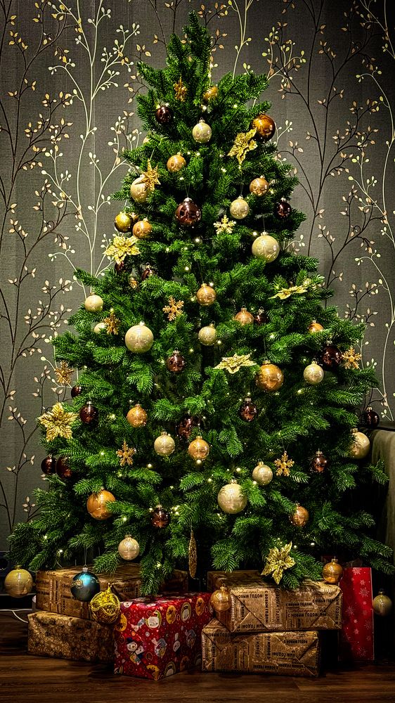 Photograph by Ekaterina Slepneva