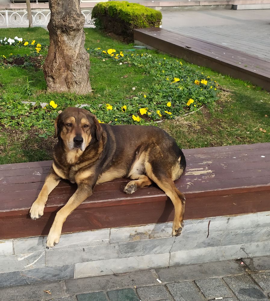 Photograph by Olga Kot