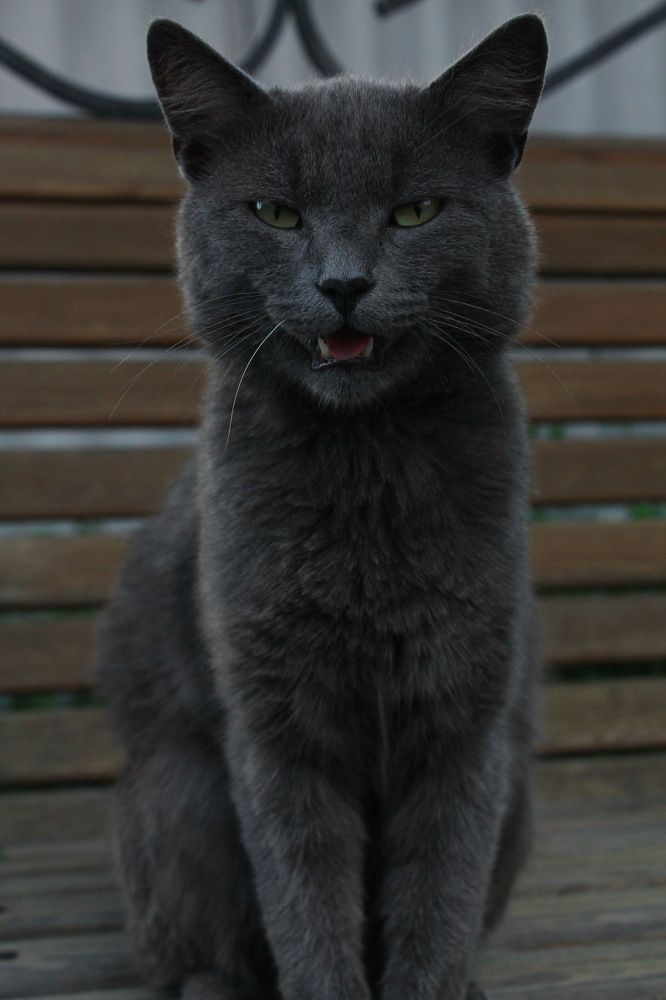 Photograph by Любовь Лунина