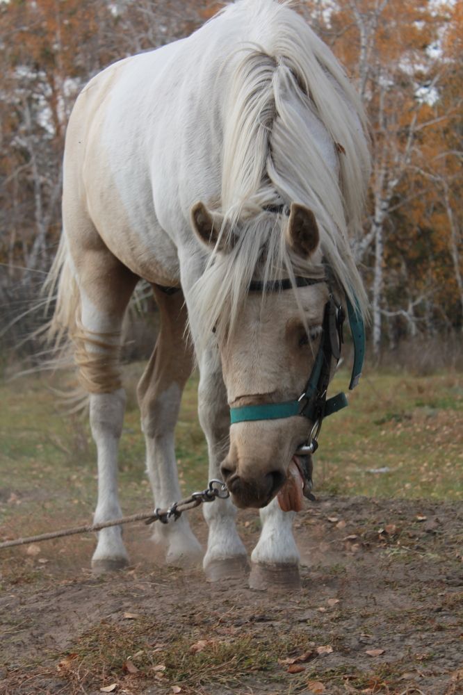Photograph by Любовь Лунина
