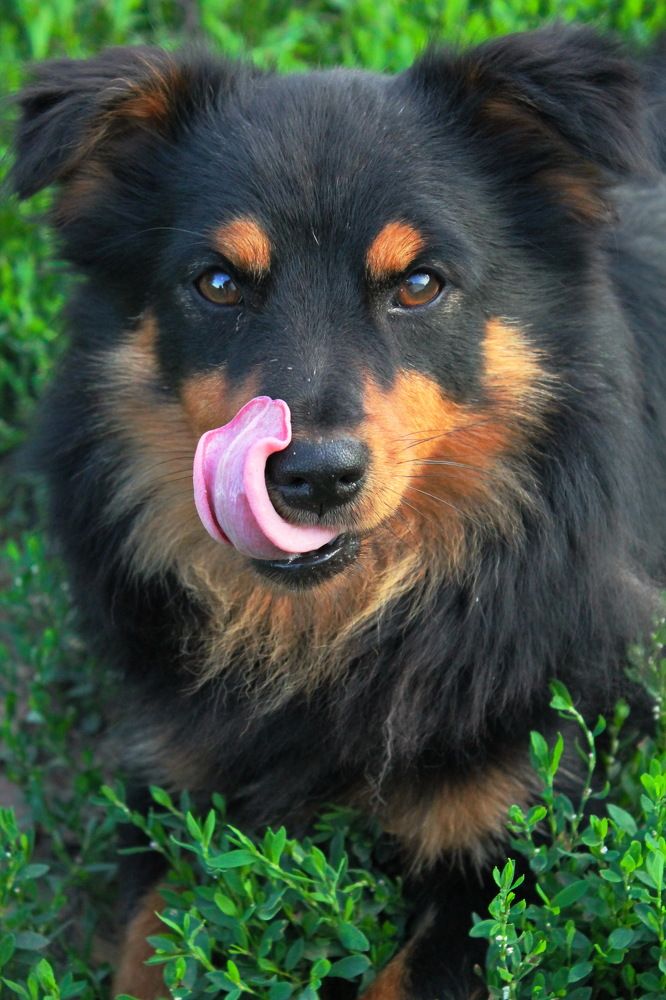 Photograph by Любовь Лунина