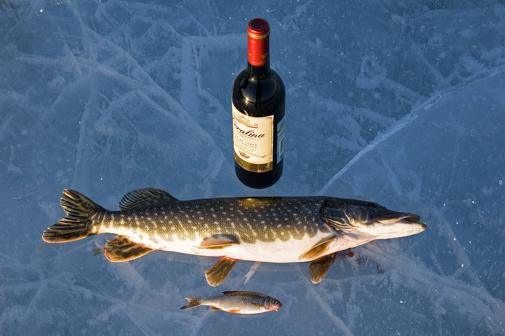 Байкальский натюрморт.