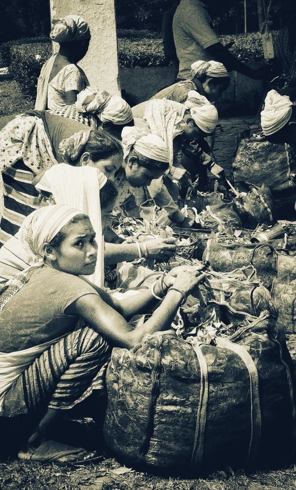 Photograph by Monuj Kr Dutta