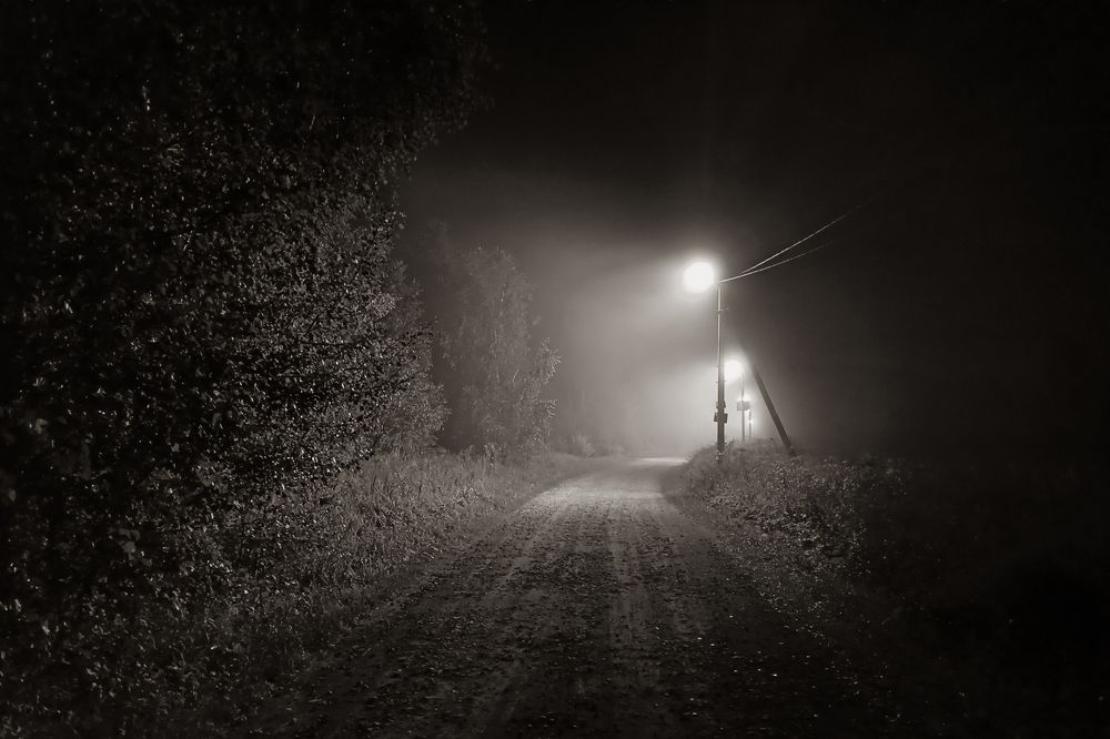 Photograph by Александр Гунин