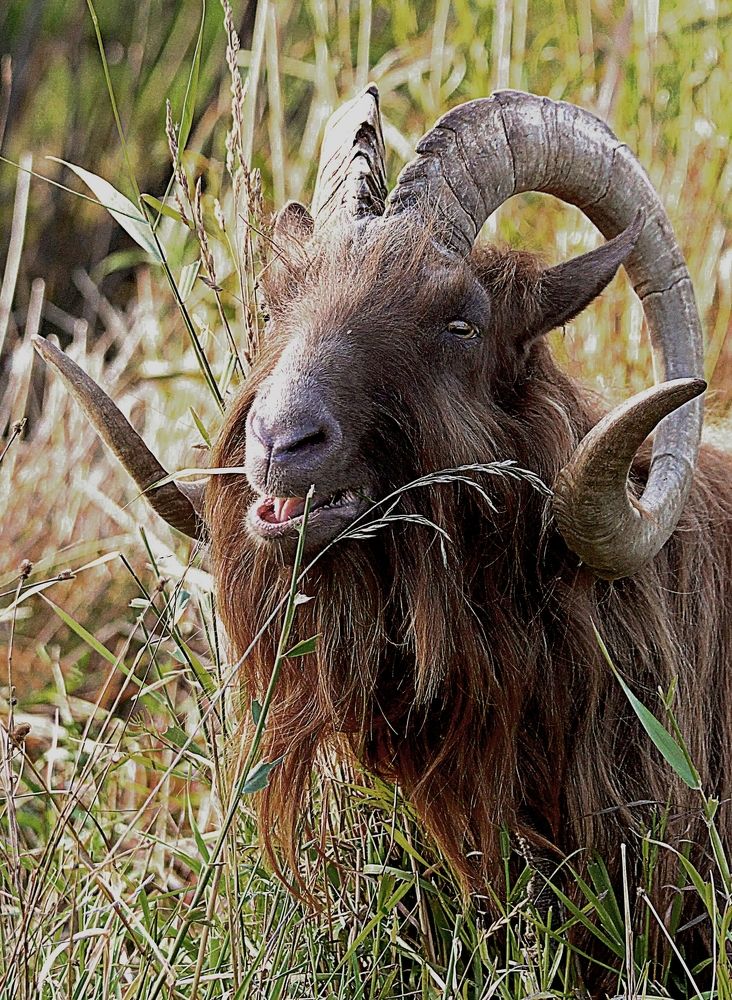 Photograph by Татьяна Слесарева