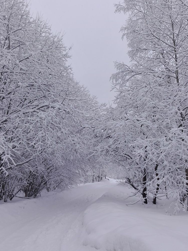 Photograph by Петрова Мария