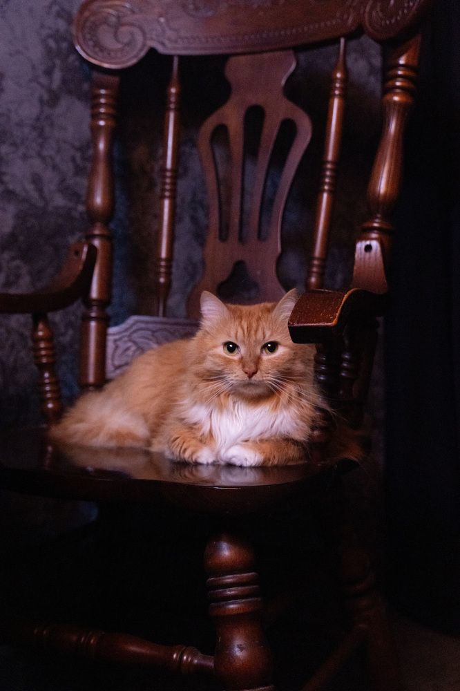 Photograph by Елена Николайчук