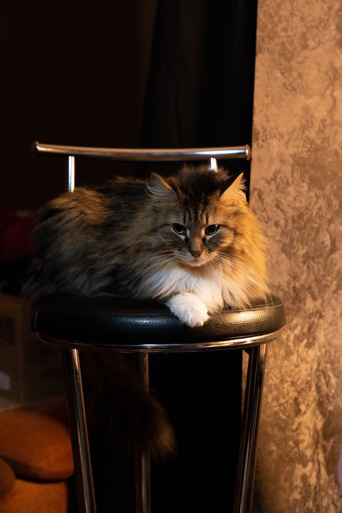 Photograph by Елена Николайчук