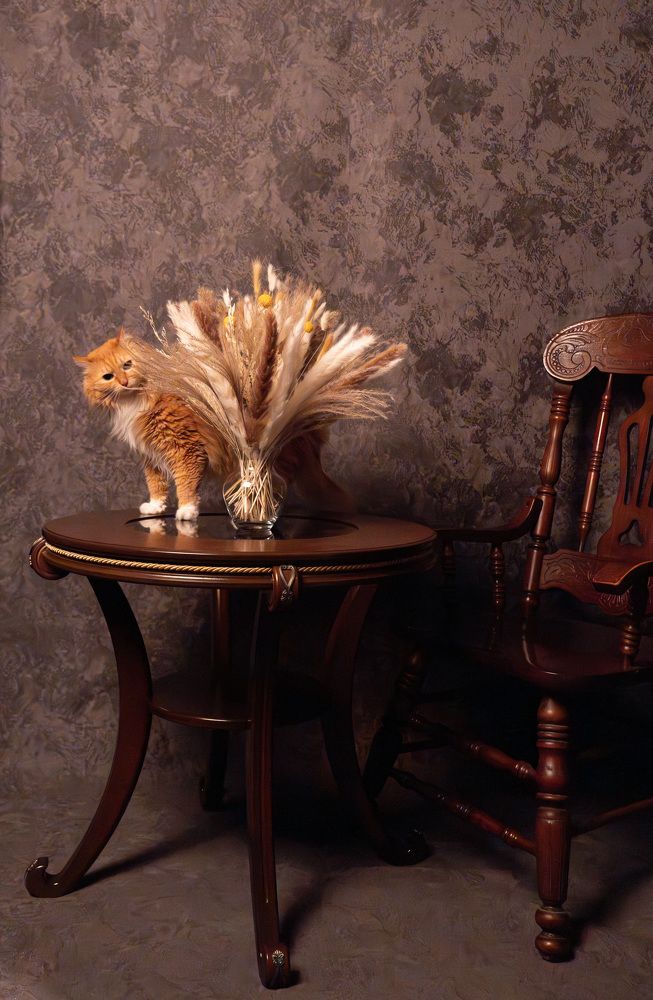 Photograph by Елена Николайчук