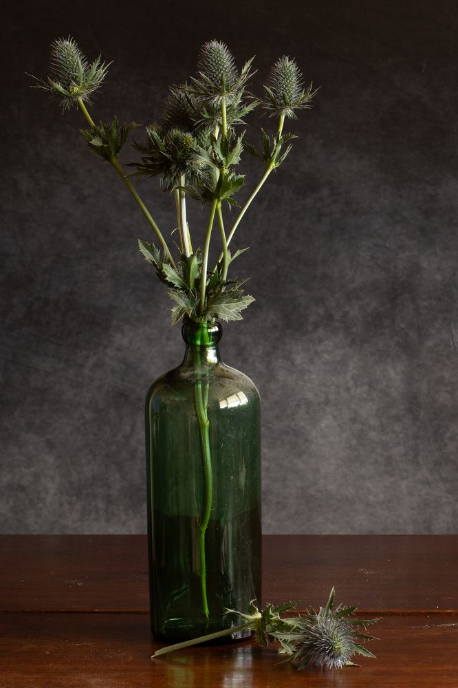 Thistles in a bottle