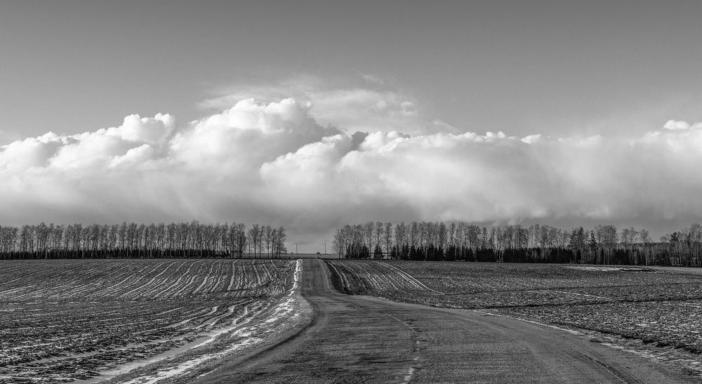Фотография автора Александр Буренко