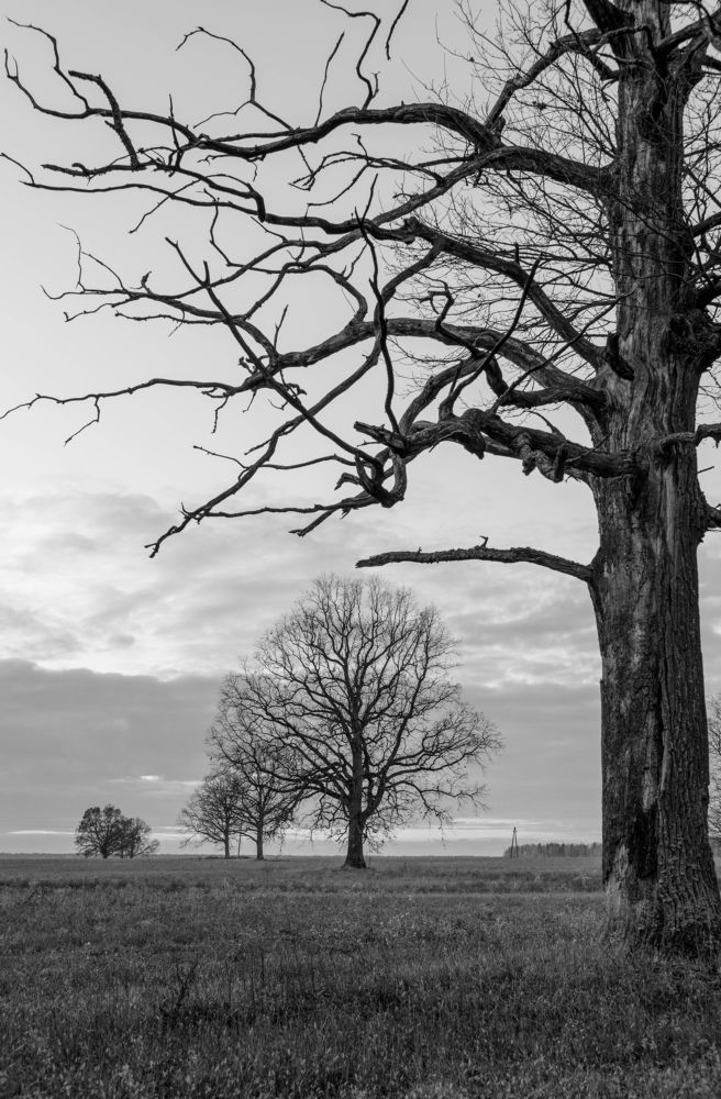 Фотография автора Александр Буренко