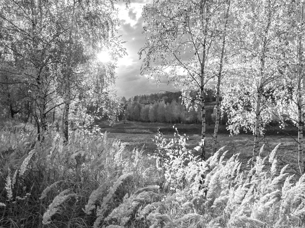 Photograph by Кондрашова Светлана