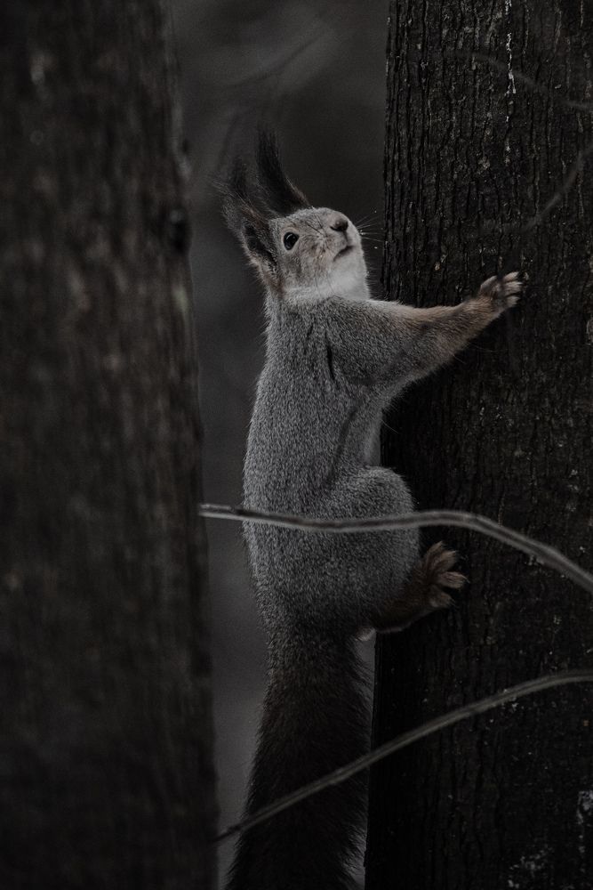 Photograph by Ксения Шилина