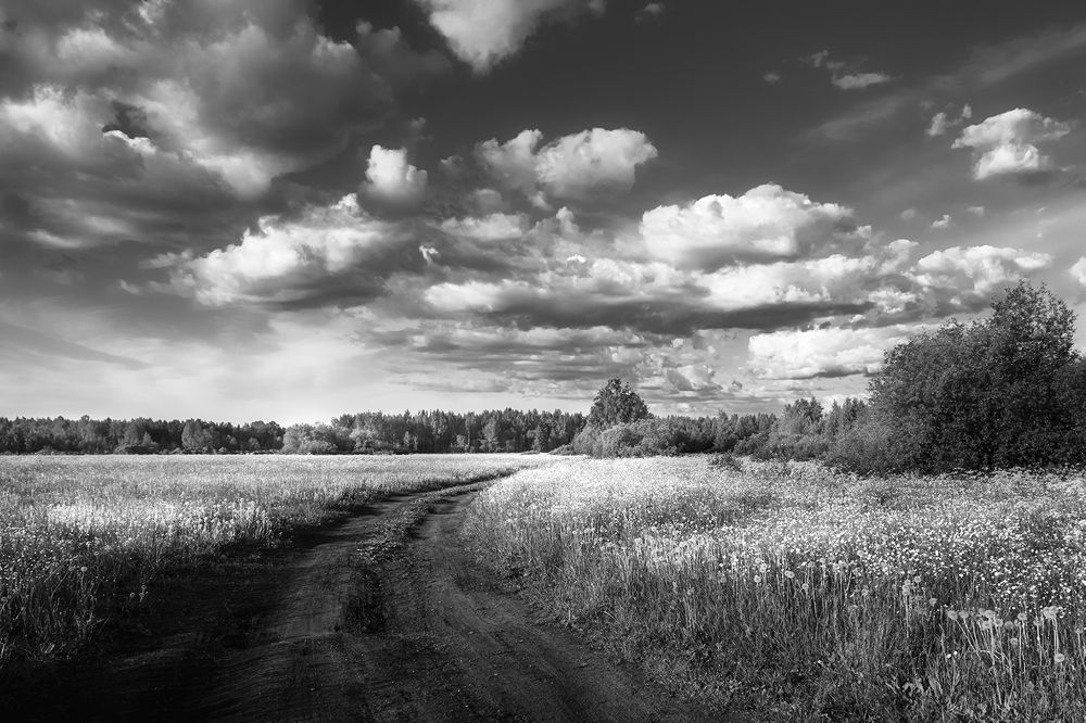 Photograph by Елена Амозова